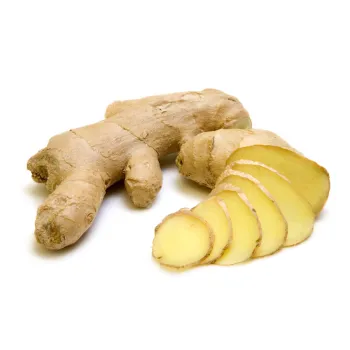 Ginger (49)-7398562-59532.webp